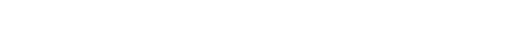 P ZERO